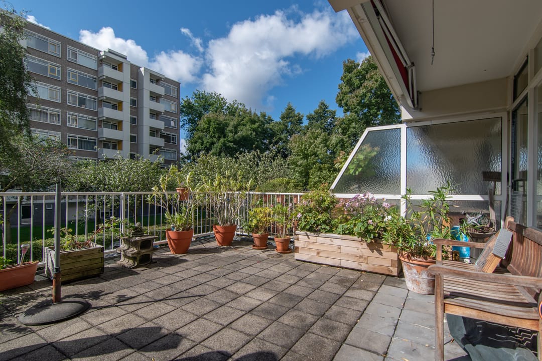 Foto 8 van Suzannaland 188