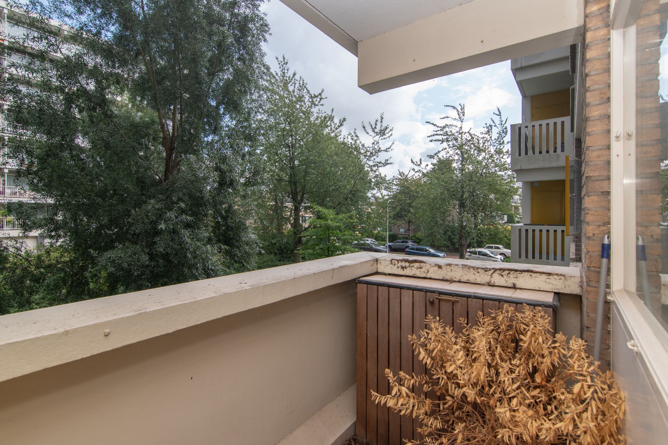 Foto 15 van Suzannaland 188