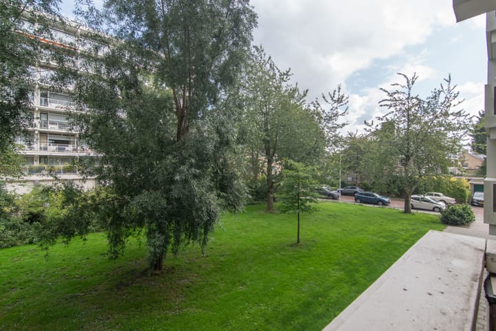 Foto 16 van Suzannaland 188