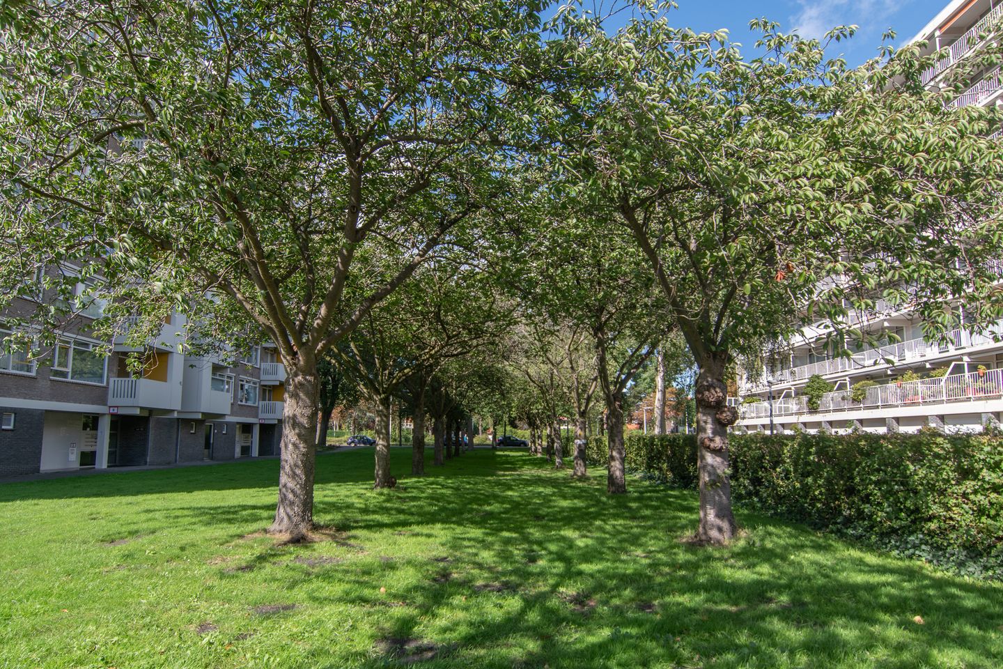 Foto 29 van Suzannaland 188