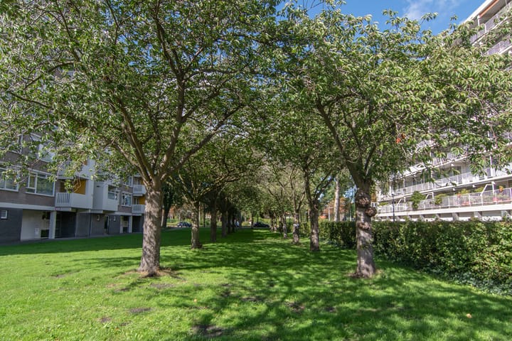 Foto 29 van Suzannaland 188