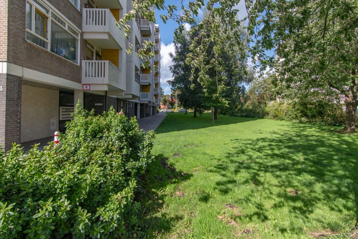 Foto 31 van Suzannaland 188