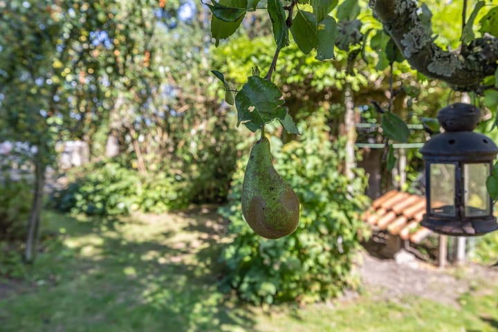 Foto 43 van Vollenhoverweg 17-A