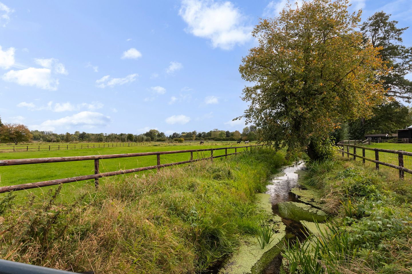 Foto 40 van Lierderstraat 49