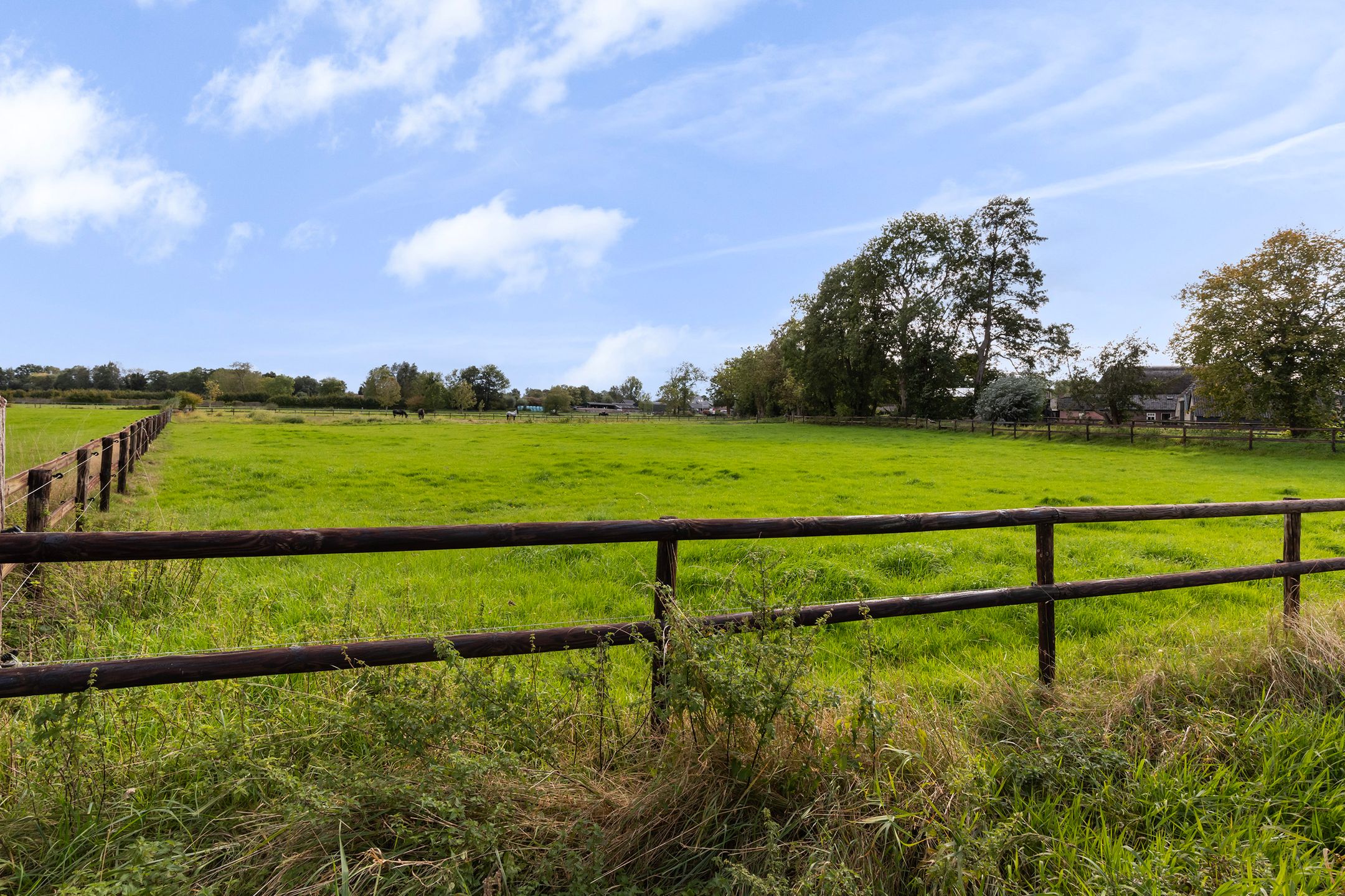 Foto 42 van Lierderstraat 49