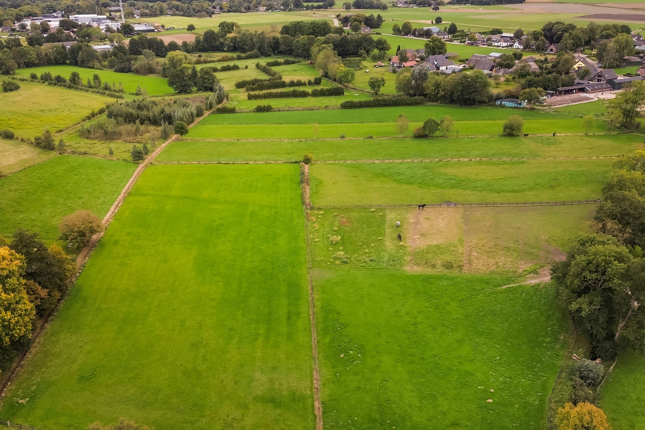 Foto 51 van Lierderstraat 49