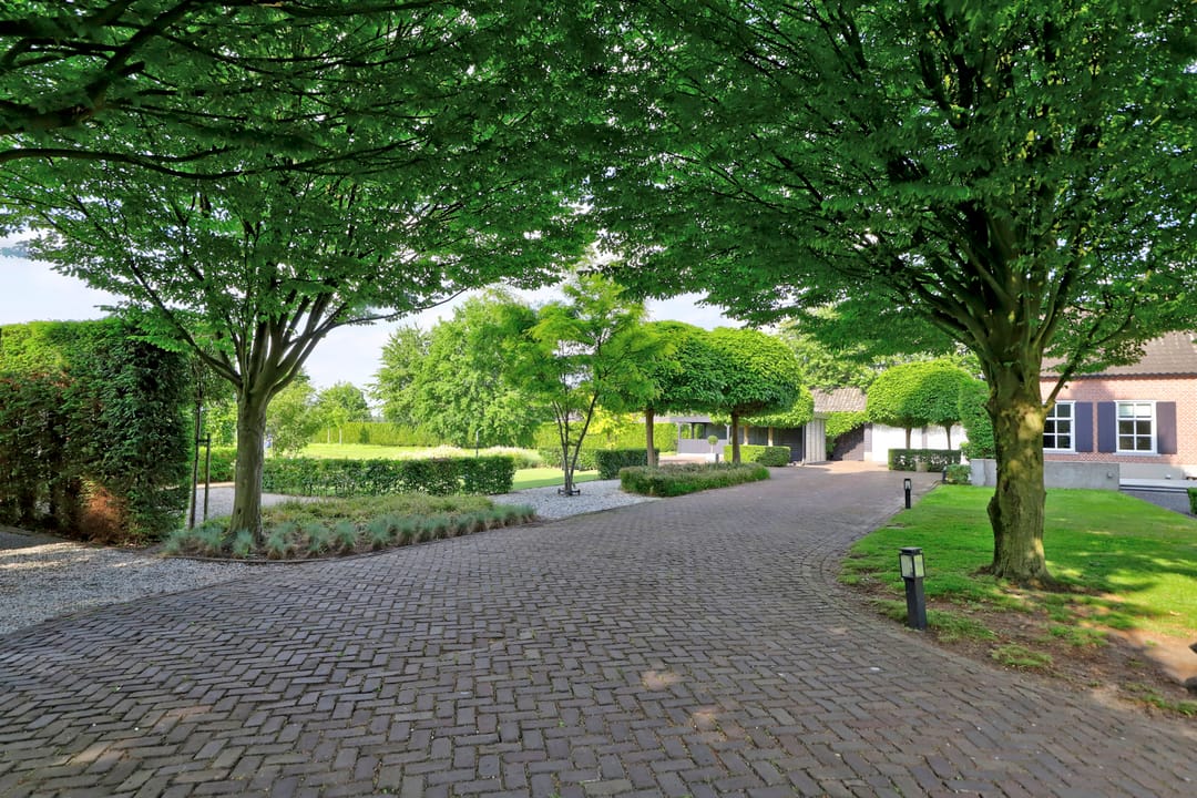 Foto 52 van Schaijksestraat 13