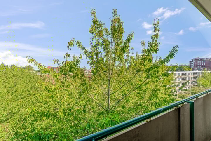 Photo 16 of Troelstraweg 93