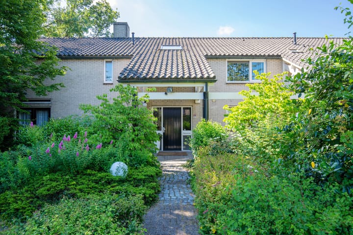 Photo 4 of Boeier 01 6