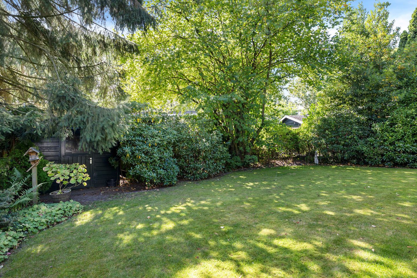 Foto 4 van Langbos 2