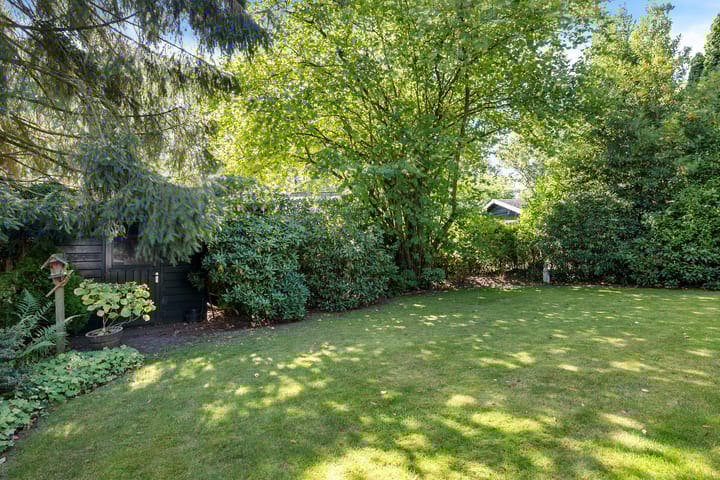 Foto 4 van Langbos 2