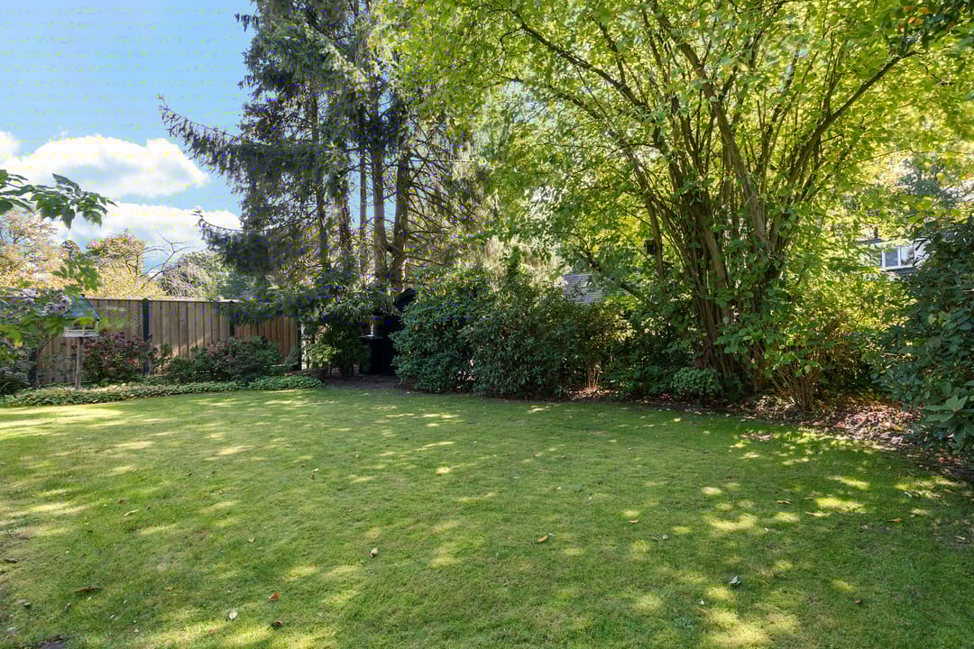 Foto 26 van Langbos 2