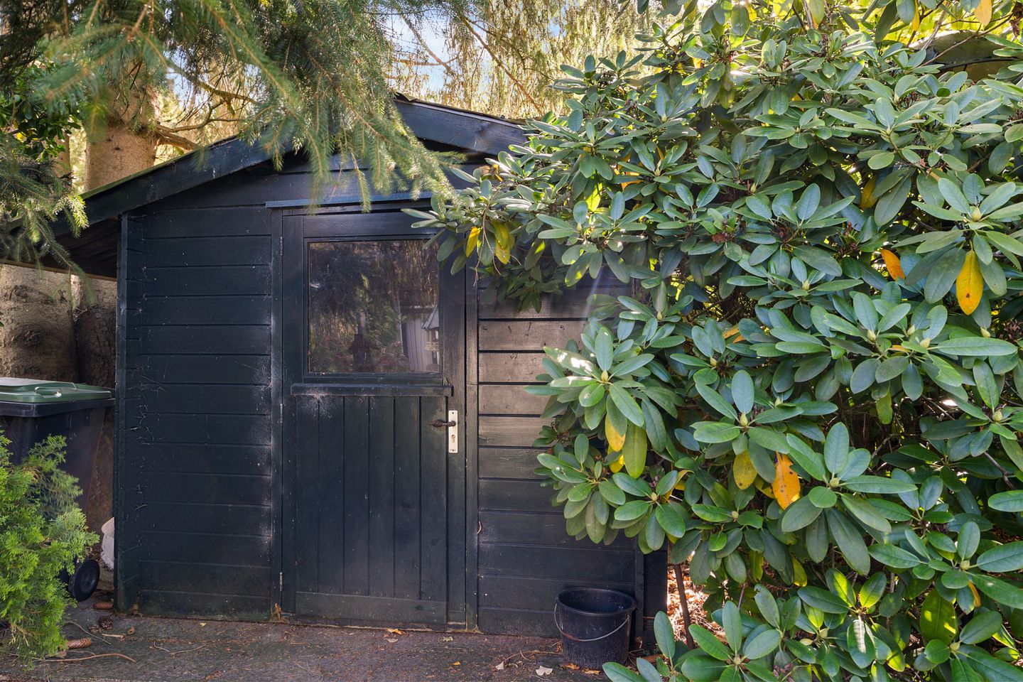 Foto 29 van Langbos 2