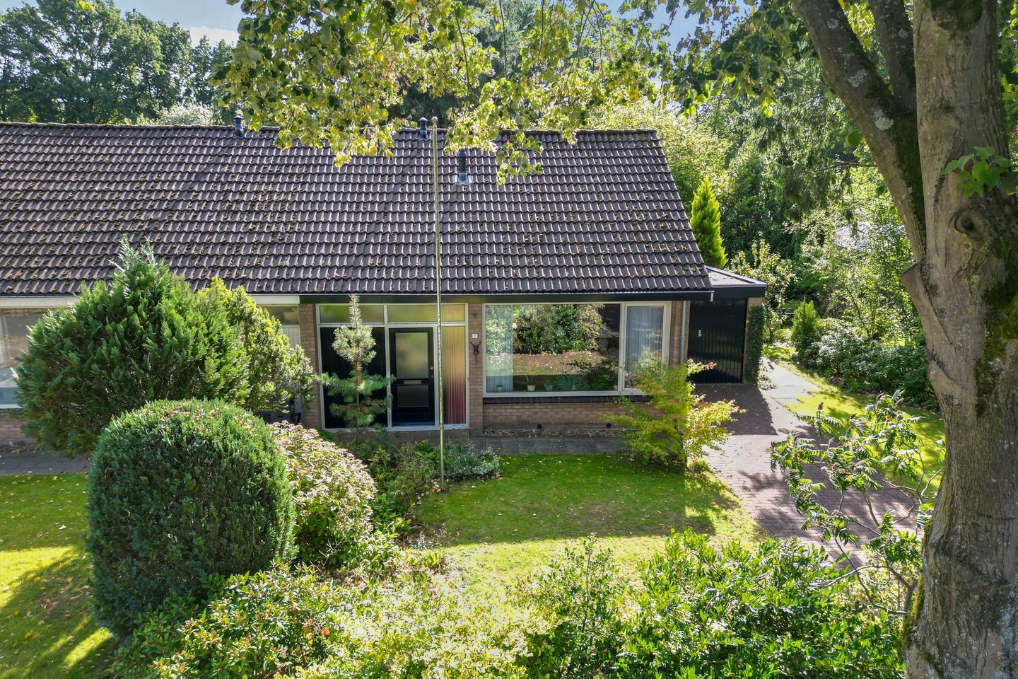 Foto 34 van Langbos 2