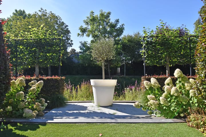 Foto 5 van Grote Beer 5