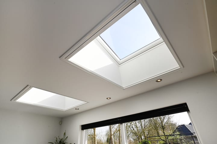 Foto 12 van Grote Beer 5