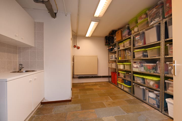 Foto 49 van Grote Beer 5