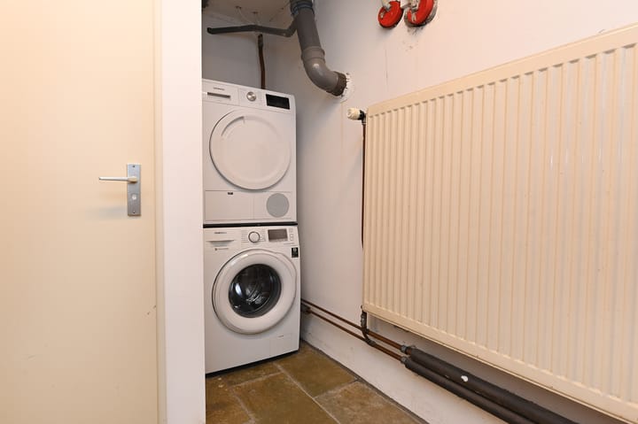 Foto 51 van Grote Beer 5