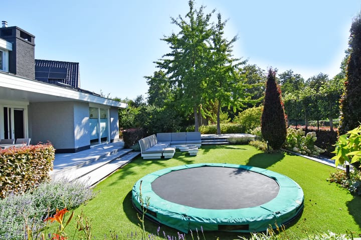 Foto 54 van Grote Beer 5