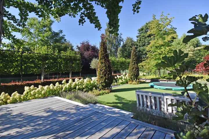 Foto 56 van Grote Beer 5