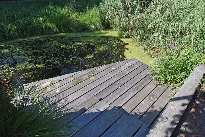 Foto 58 van Grote Beer 5