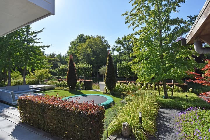 Foto 59 van Grote Beer 5