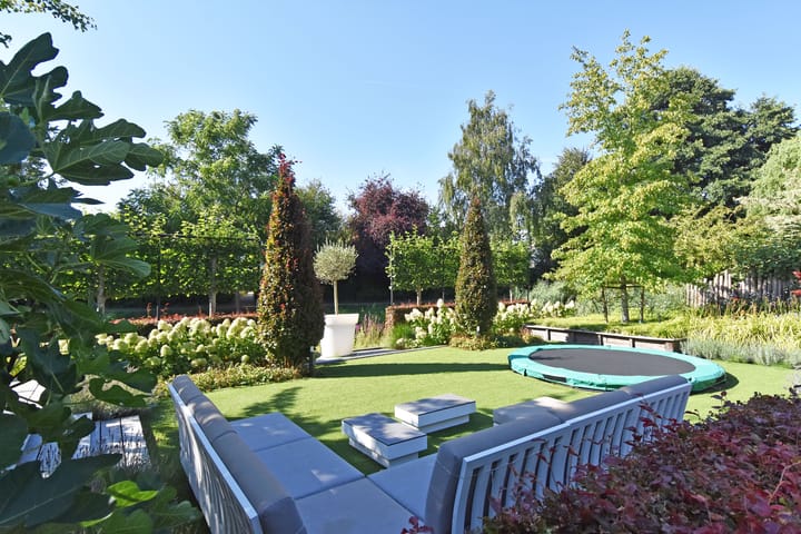 Foto 60 van Grote Beer 5