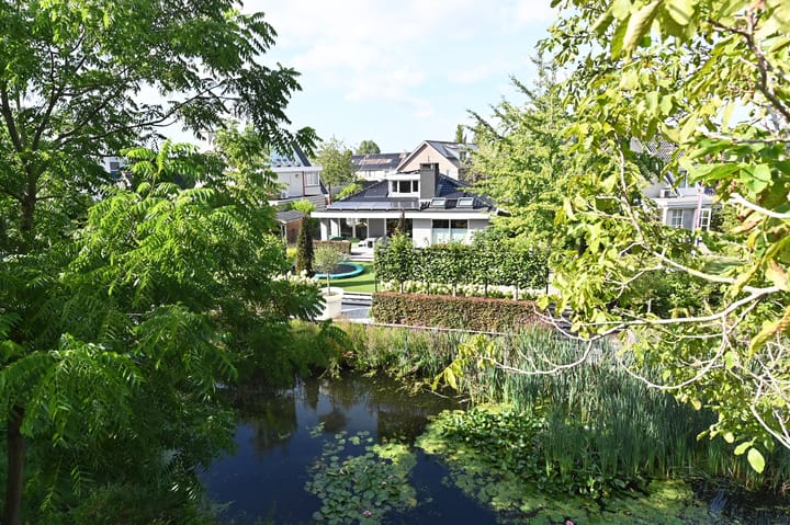 Foto 62 van Grote Beer 5