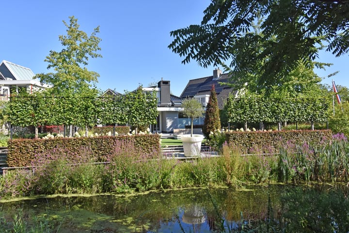 Foto 63 van Grote Beer 5