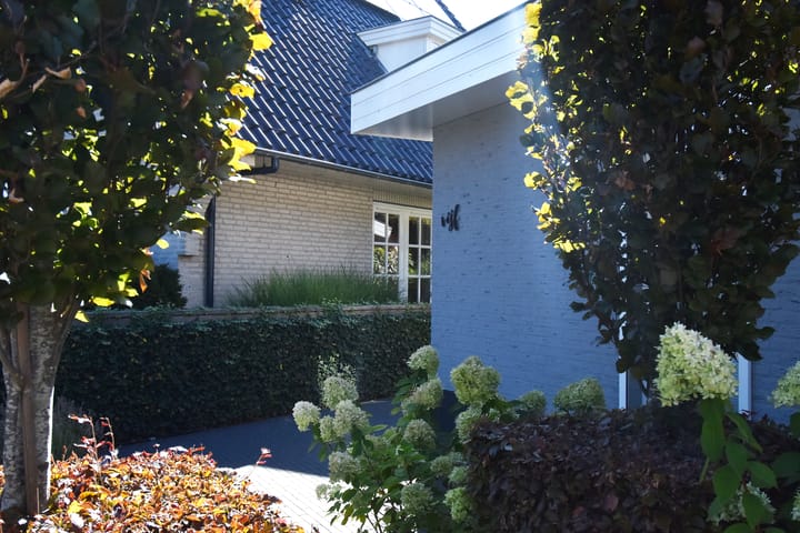 Foto 66 van Grote Beer 5