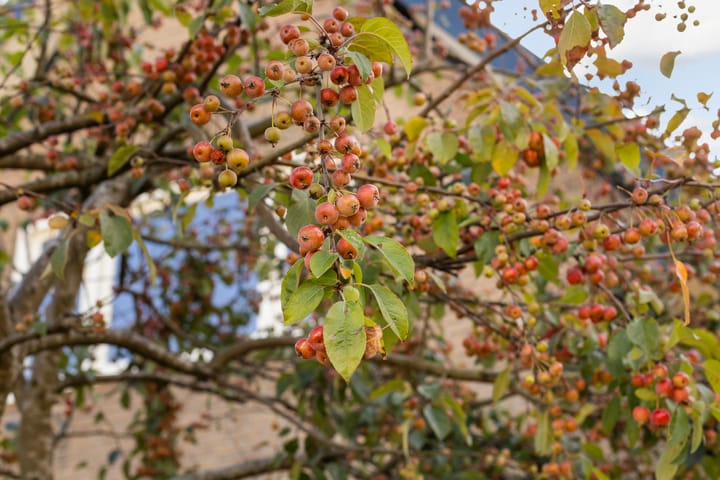 Foto 43 van Archimedesstraat 4