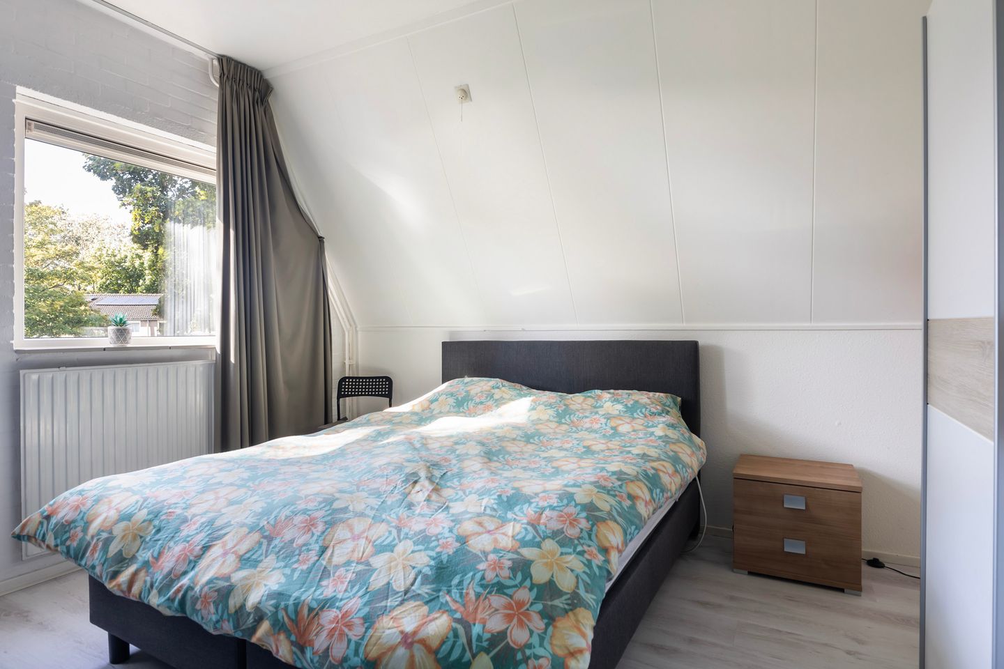 Foto 29 van Kalmoes 2