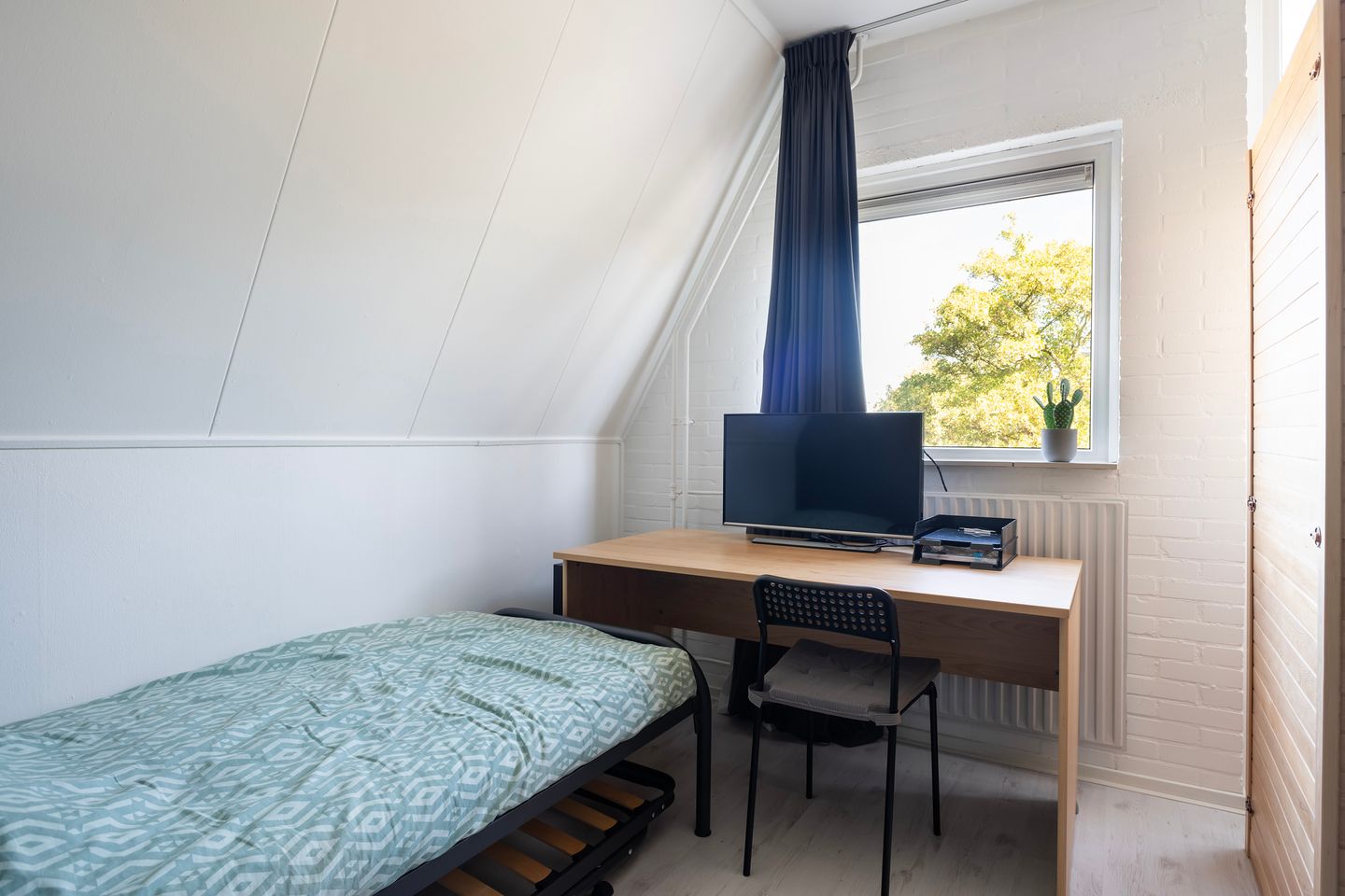 Foto 35 van Kalmoes 2