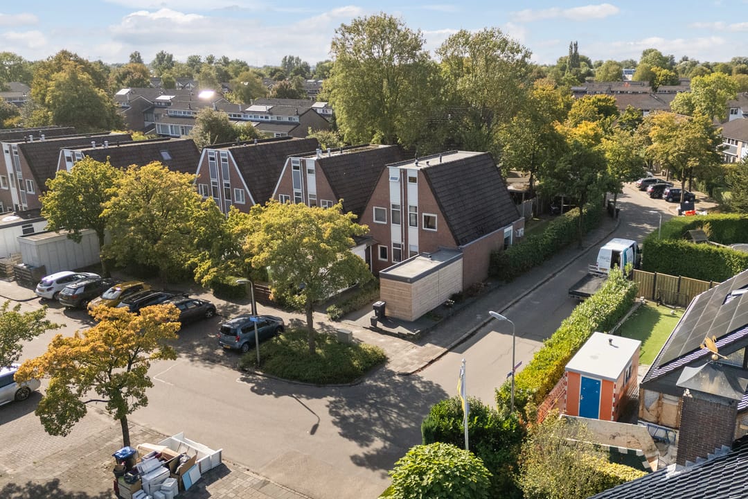 Foto 37 van Kalmoes 2