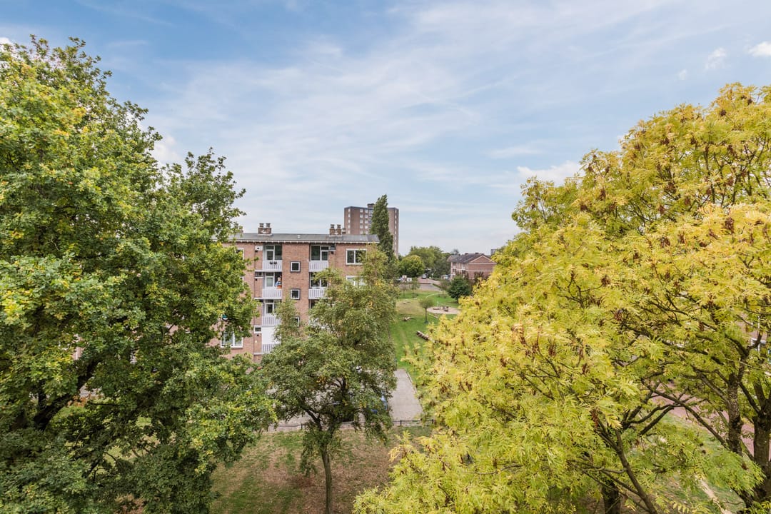 Foto 13 van Heidevenstraat 145