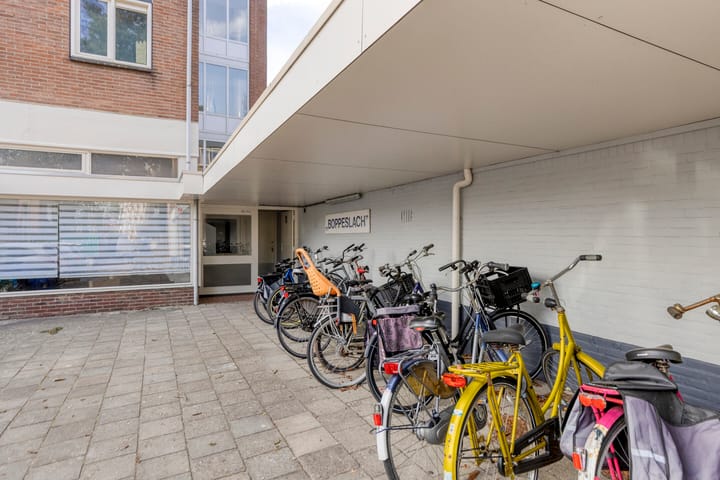 Foto 24 van Kaatsland 72