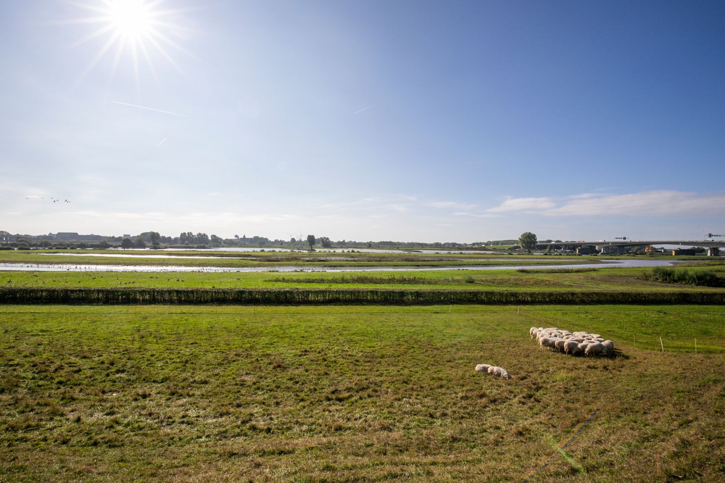 Photo 35 of Vloedmonde 52