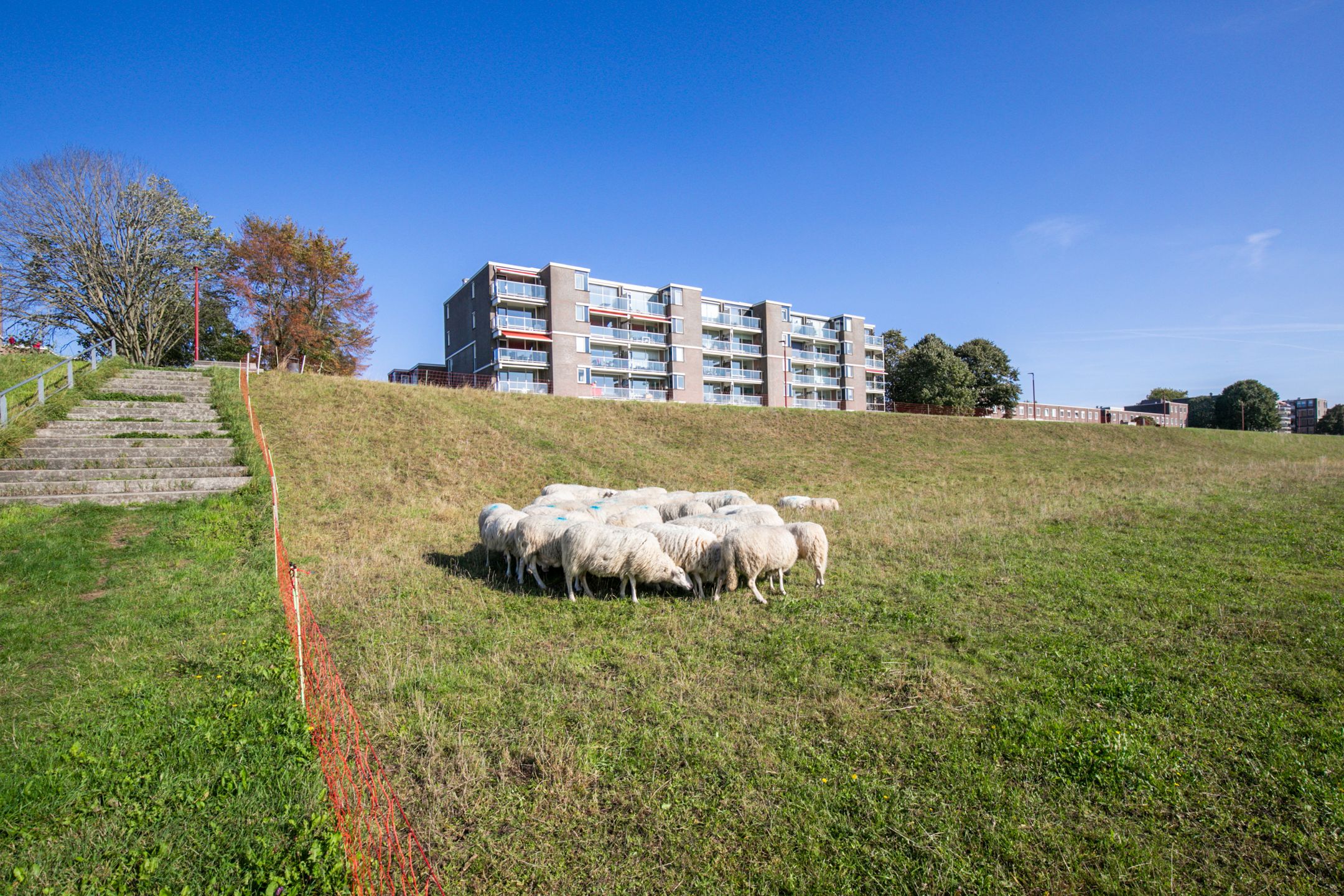 Photo 36 of Vloedmonde 52