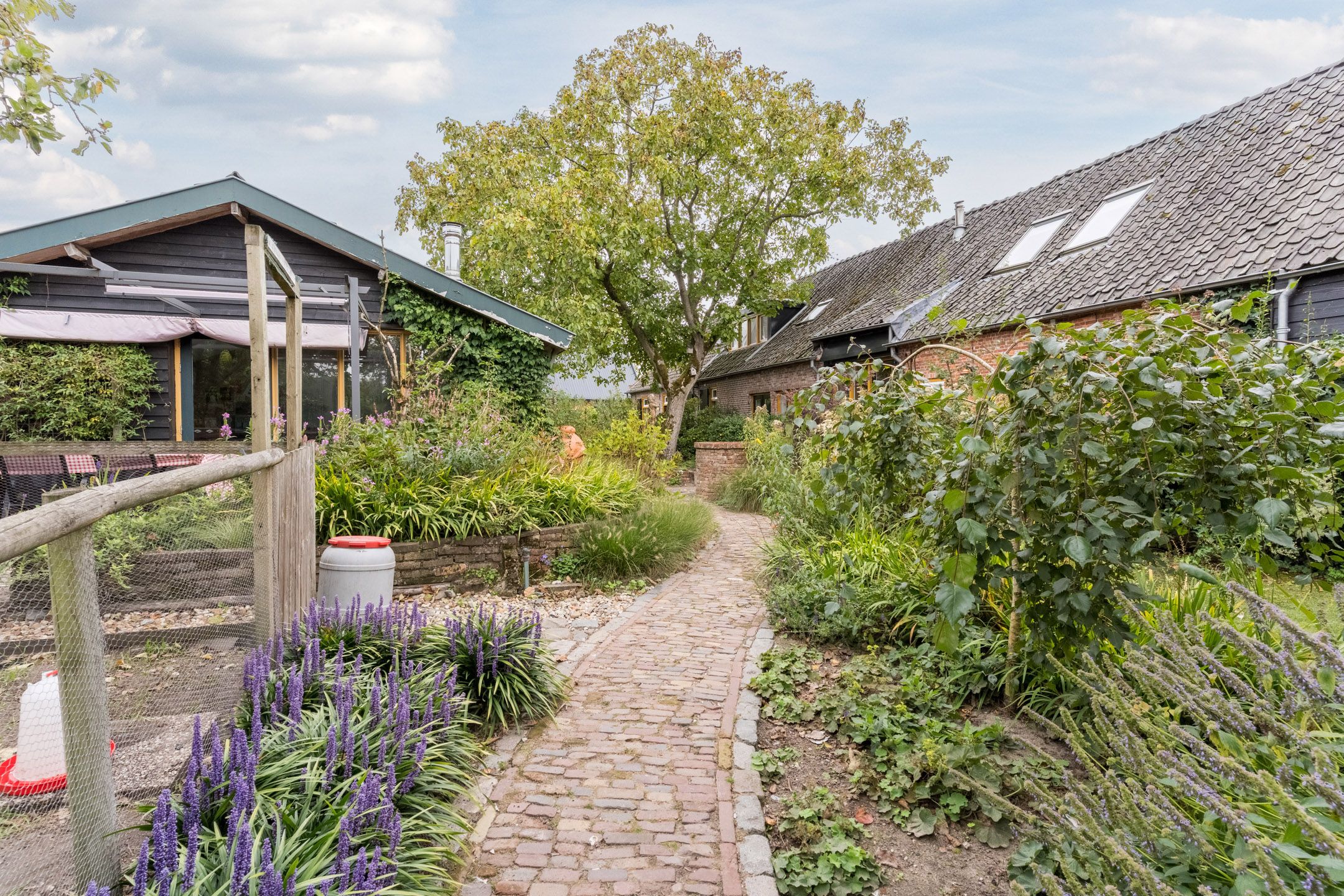 Photo 45 of Wagenbroeken 6