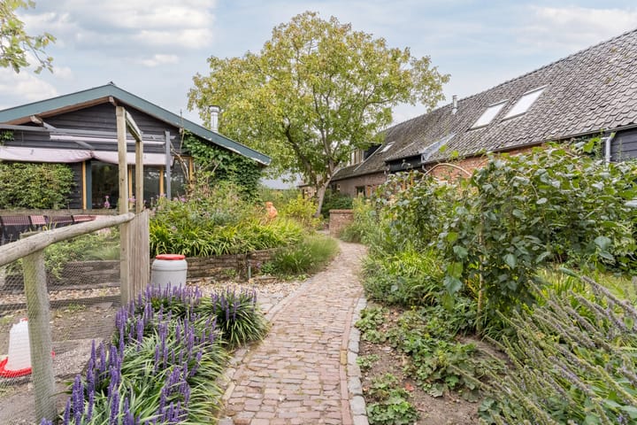 Foto 45 van Wagenbroeken 6