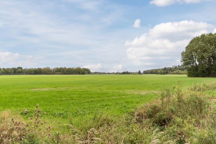 Foto 87 van Wagenbroeken 6