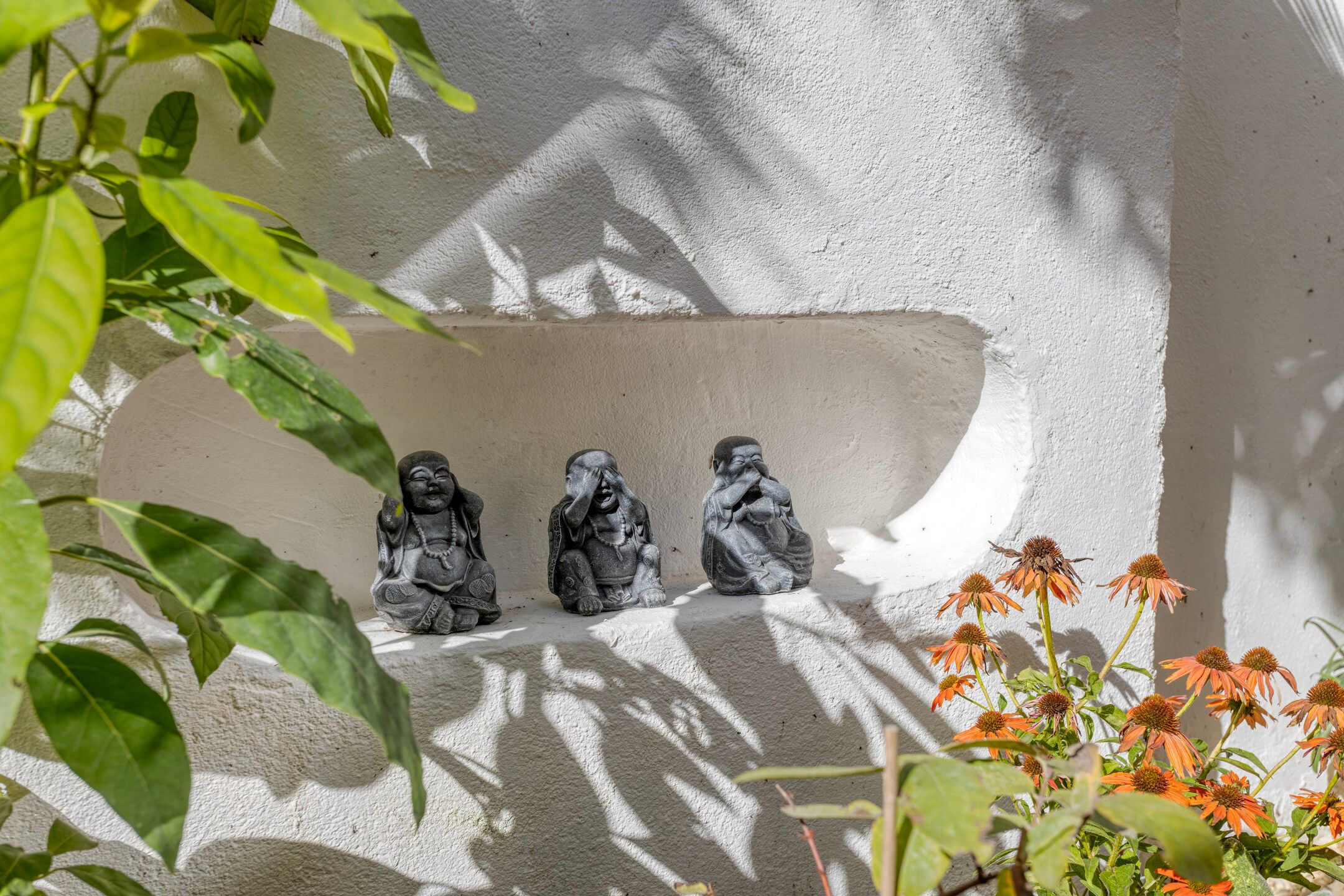 Foto 42 van Veenweg 64