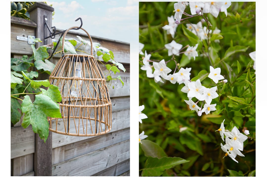 Foto 38 van Noorderbreek 51