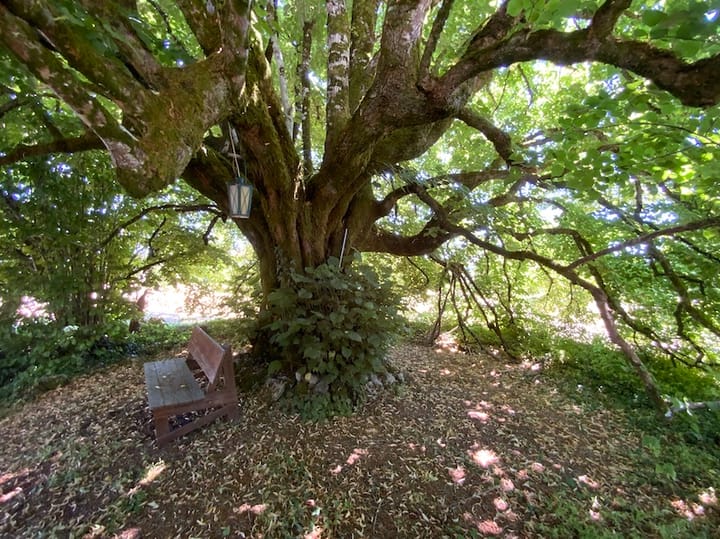 Foto 36 van SAINT SAUD LACOUSSIÈRE