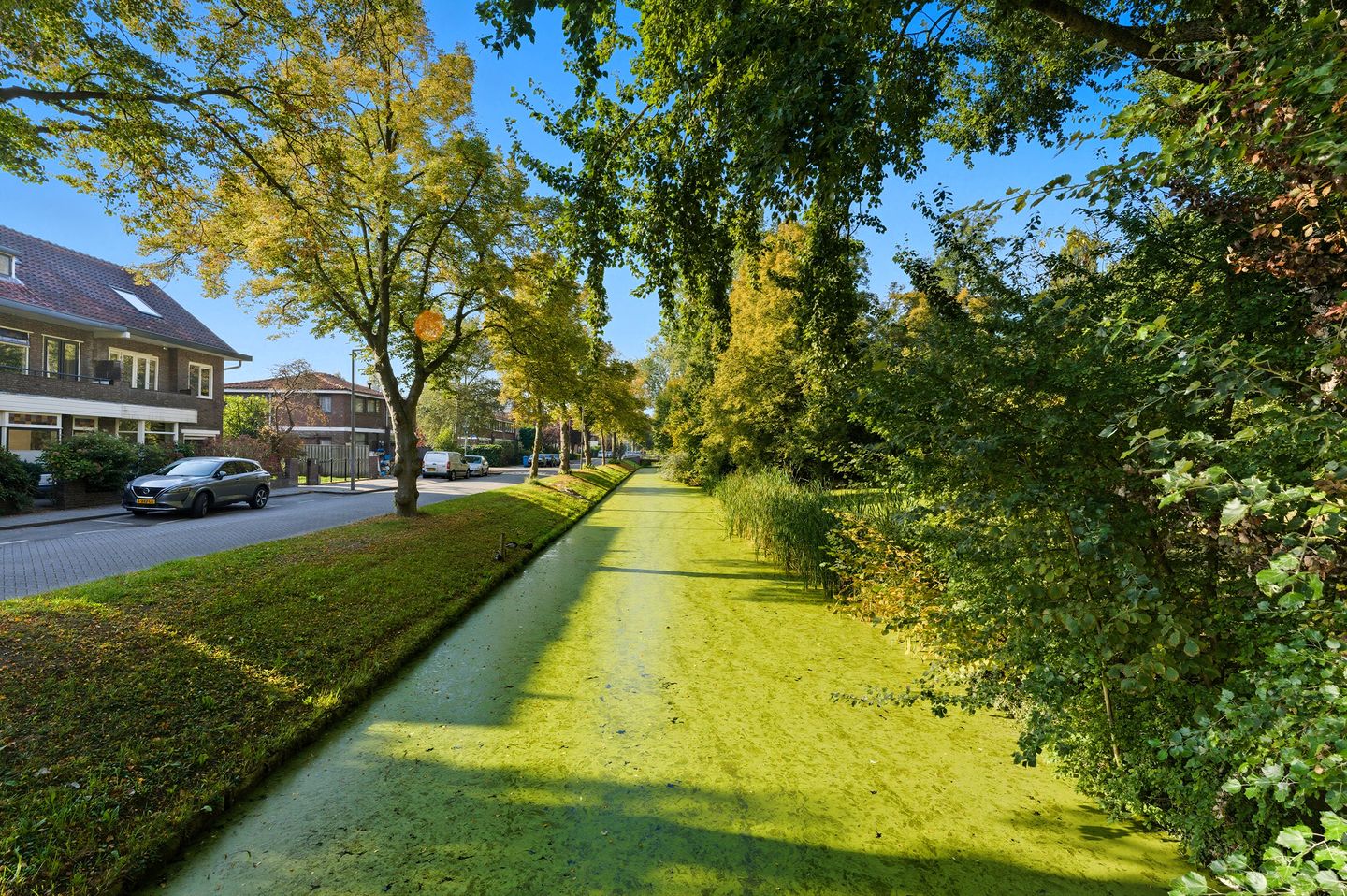 Foto 49 van Prunuslaan 67