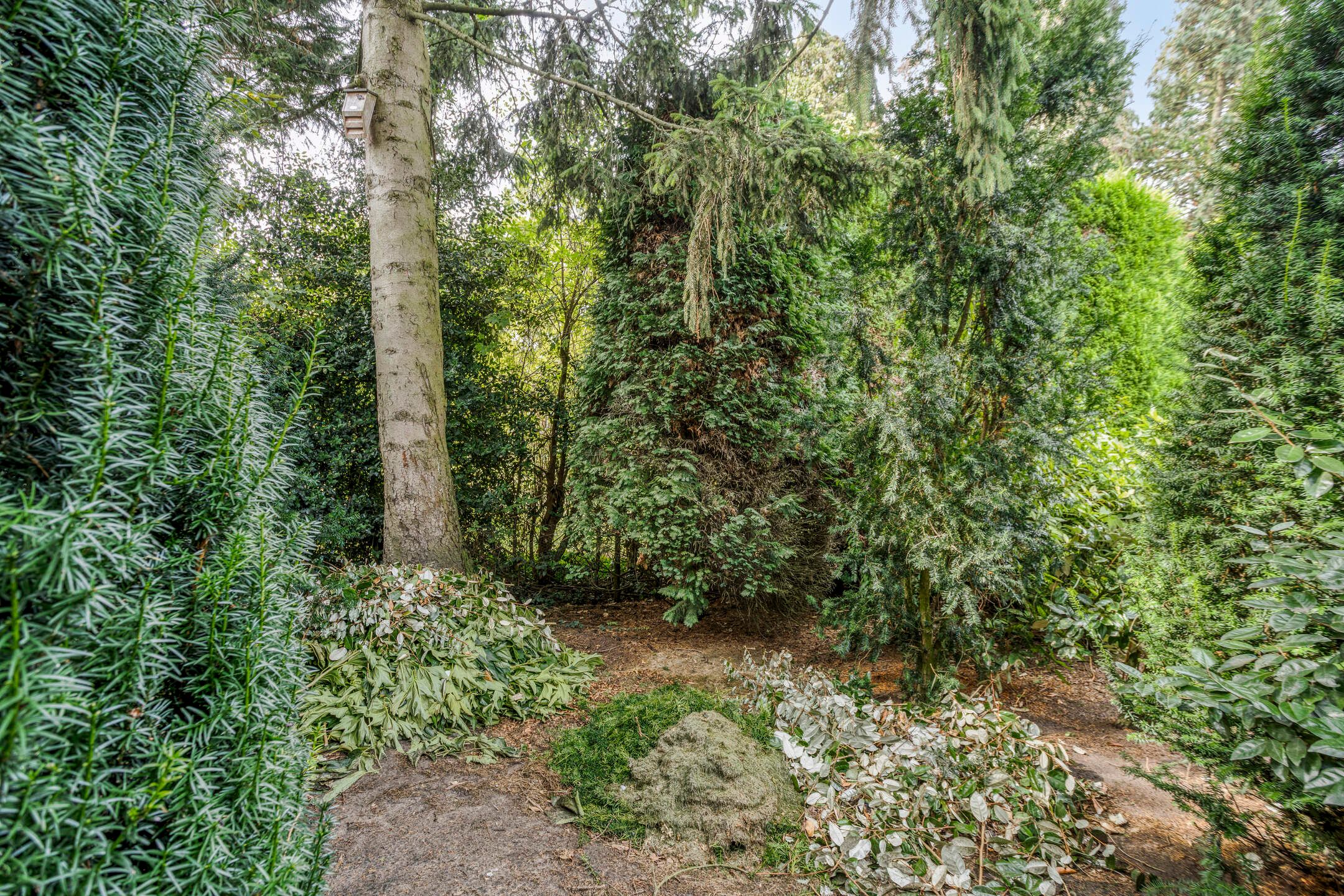 Photo 51 of Tuinstraat 17