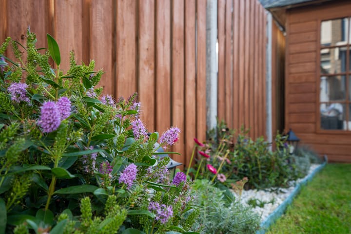 Foto 57 van Sperwerlaan 90