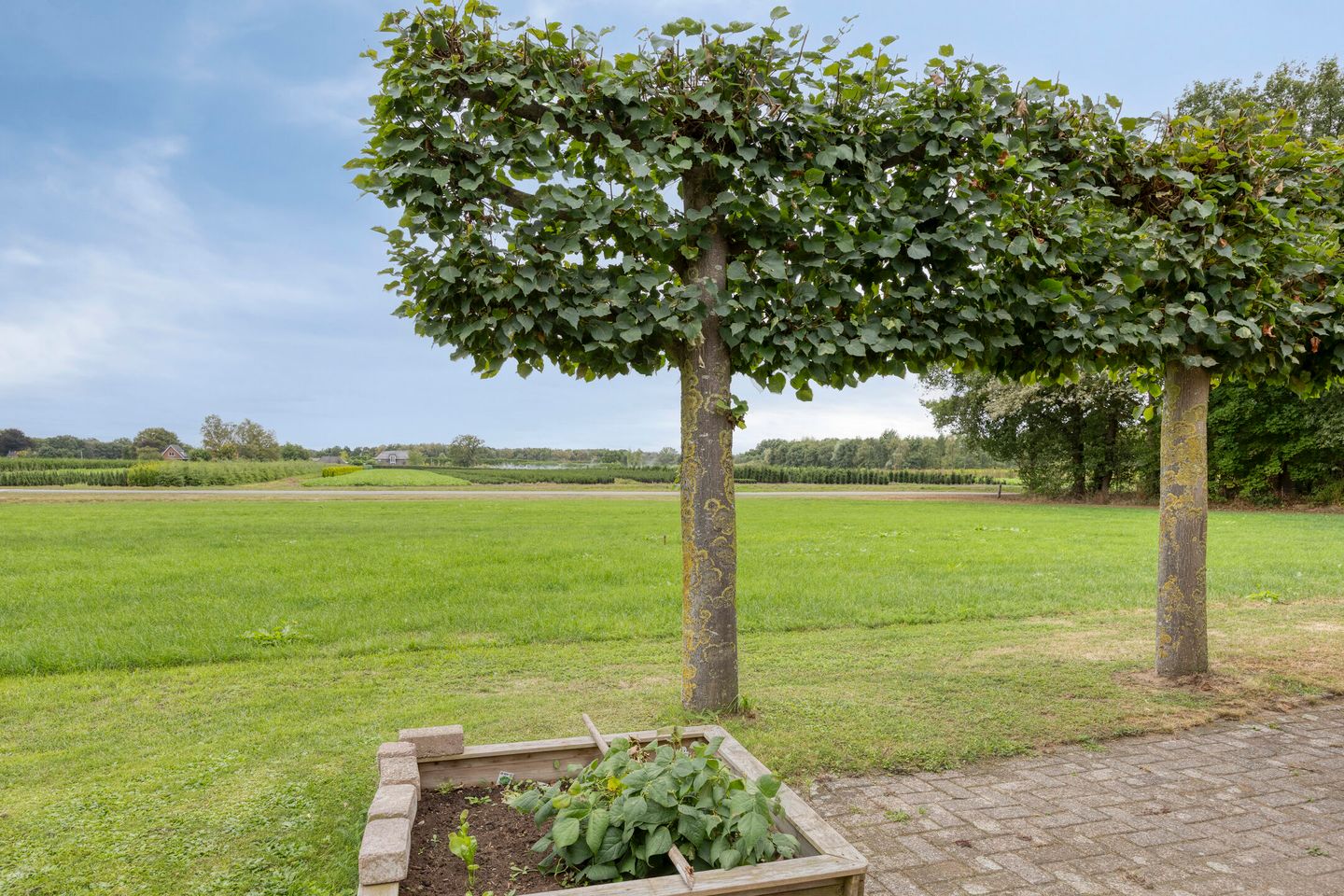 Foto 50 van Hengeloseweg 50