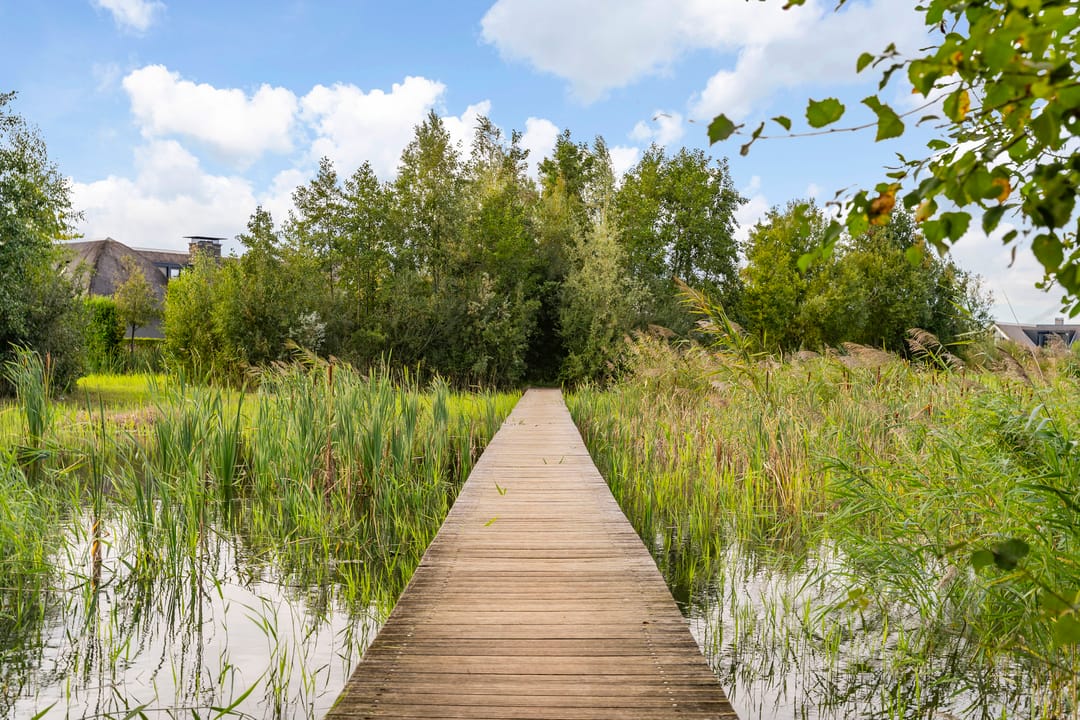 Photo 31 of Groene Grens 46