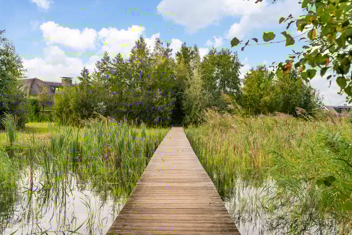 Photo 31 of Groene Grens 46